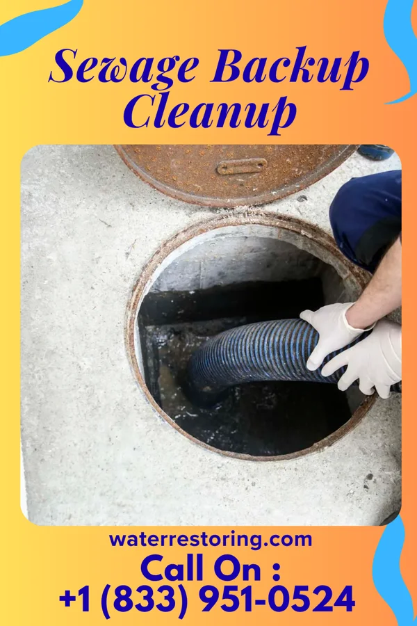 Sewage Backup Cleanup in Radcliff, KY